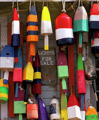 North America Wall Art featuring the digital art Lobster Buoys And Shop by Walter Bibikow
