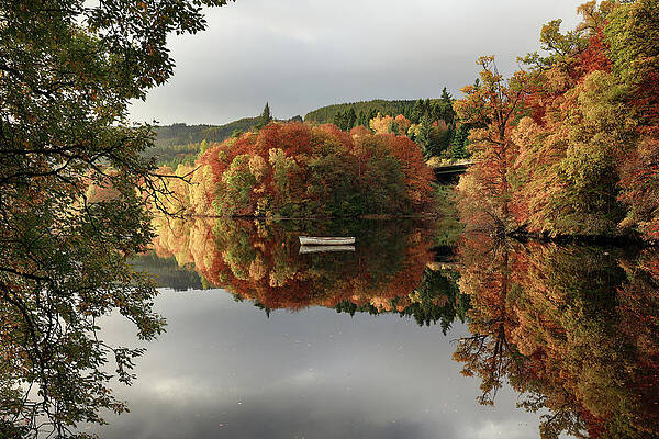 Reflection Wall Art featuring the photograph Loch Faskally Autumn Reflection by Grant Glendinning