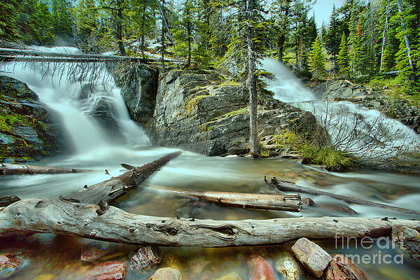 Wall Art featuring the photograph Logs Below Twin Falls by Adam Jewell