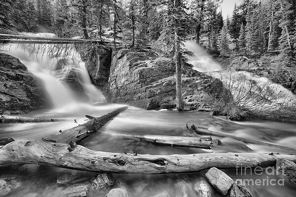 Wall Art featuring the photograph Logs Below Twin Falls Black And White by Adam Jewell
