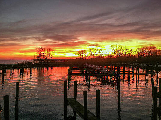 Wall Art featuring the photograph Lonely Fall Marina by Lloyd Gillies