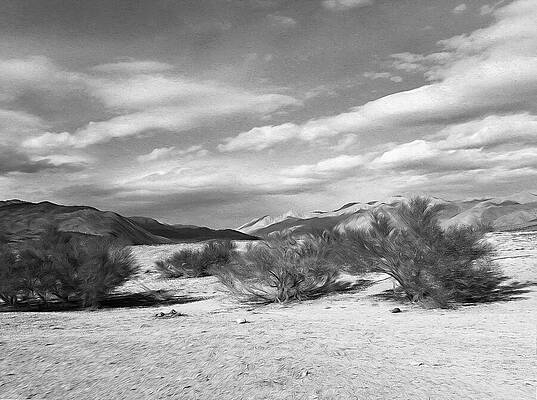 Wall Art featuring the photograph Lost In The High Desert by Joe Schofield
