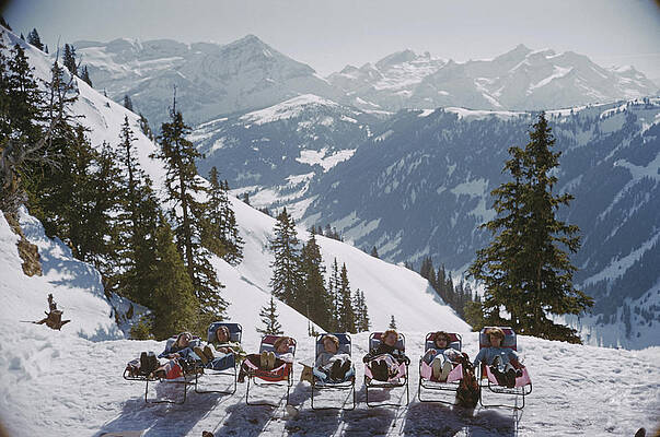 Relaxing in the Alpine Sun Wall Art