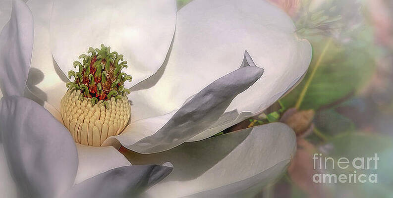 Wall Art featuring the photograph Love Of Nature by Mary Lou Chmura