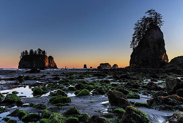 Photograph - Low Tide by Ed Clark