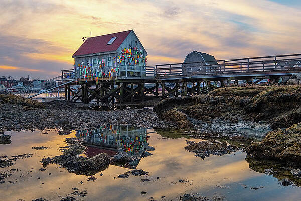 Maine Wall Art featuring the photograph Low Tide Reflections, Badgers Island. by Jeff Sinon