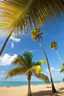 Caribbean Wall Art featuring the digital art Luquillo Beach, Puerto Rico by Walter Bibikow