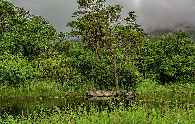 Serene Photograph - Magical Ireland by Marcy Wielfaert