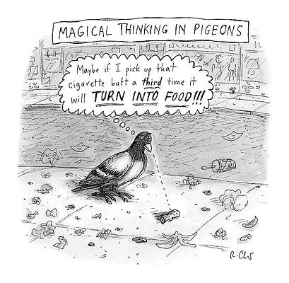 Thinking Wall Art featuring the drawing Magical Thinking In Pigeons by Roz Chast