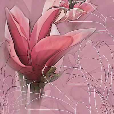 Blossom Digital Art - Magnolia Musings by Gina Harrison