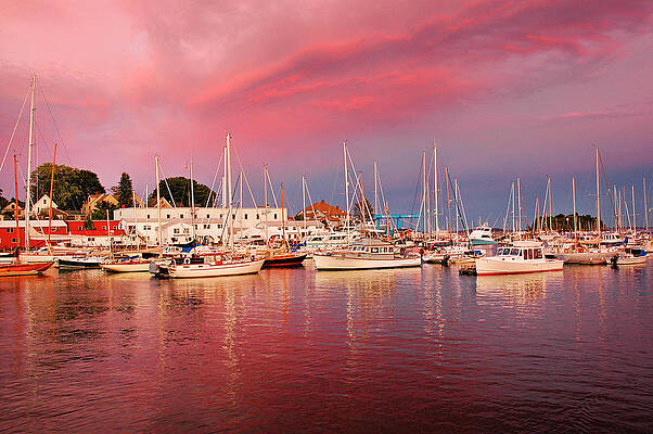 Coastal Wall Art featuring the digital art Maine, Camden, Spectacular Landscape by Stephen G. Donaldson
