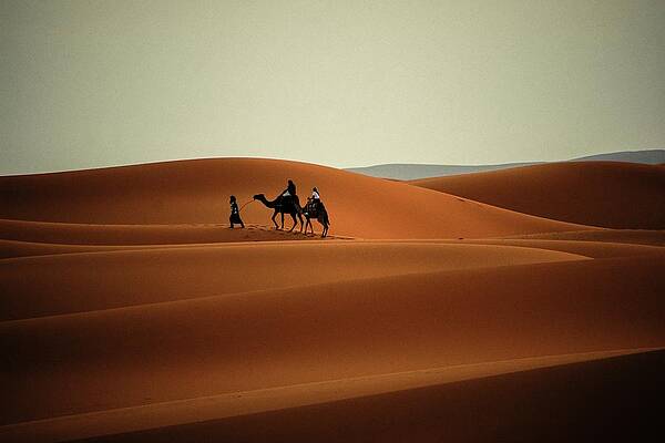 Travel Photograph - Majestic Sahara by Robert Grac