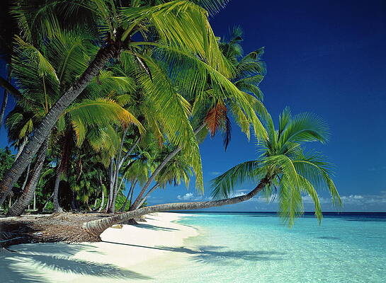 Nature Wall Art featuring the digital art Maldives, Beach Paradise by Hp Huber