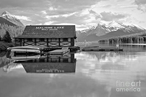 Wall Art featuring the photograph Maligne Lake Golden Pines Black And White by Adam Jewell