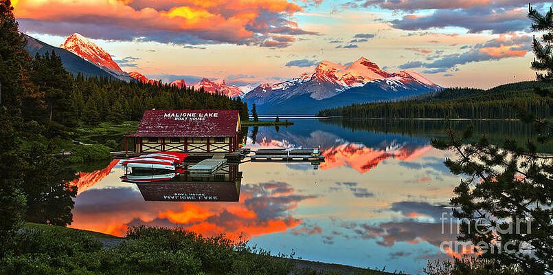Wall Art featuring the photograph Maligne Lake Sunset Through The Trees by Adam Jewell