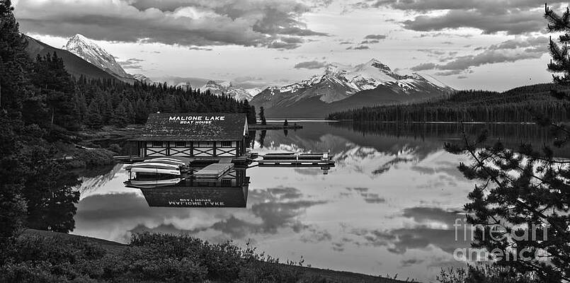 Wall Art featuring the photograph Maligne Lake Sunset Through The Trees Black And White by Adam Jewell