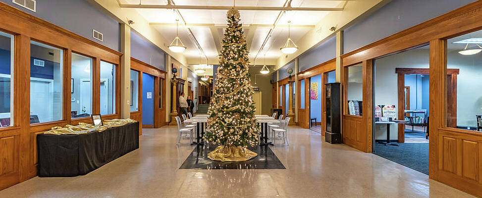 Ohio Wall Art featuring the photograph Marietta Ohio Commons Tree by Jonny D