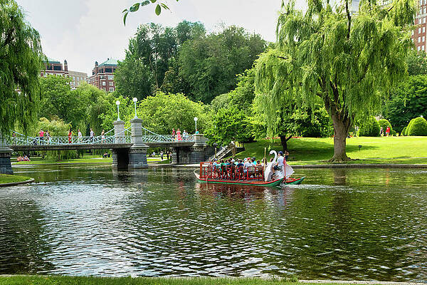 Horizontal Wall Art featuring the digital art Massachusetts, Boston, Public Garden, Swan Boat. by Maria Consorti