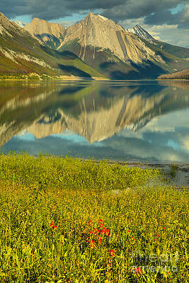 Wall Art featuring the photograph Medicine Lake Reflections And Wildflowers Portrait by Adam Jewell
