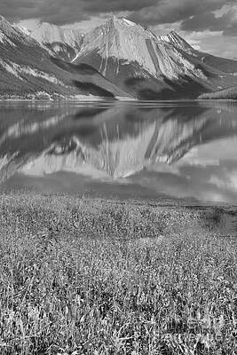 Wall Art featuring the photograph Medicine Lake Reflections And Wildflowers Portrait Black And White by Adam Jewell