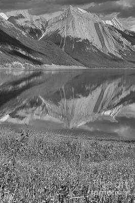 Wall Art featuring the photograph Medicine Lake Wildflower Portrait Black And White by Adam Jewell