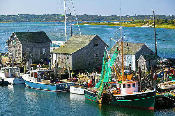 Colorful Fishing Harbor Scene Digital Art