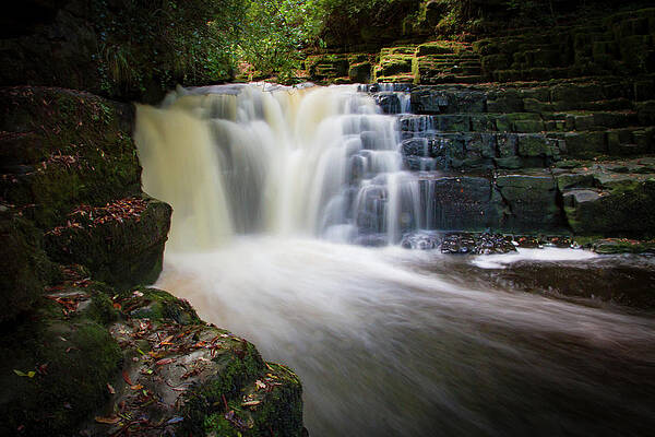 Nature Photograph - Midway Waterfall by Mark Callanan