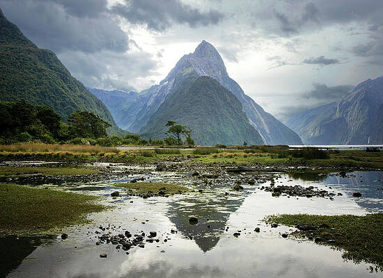 Wall Art featuring the photograph Milford Sound, South Island, New Zealand by Ed Freeman