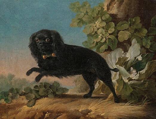 Dog Painting - Mimi, Le Chien Favorite De Madame De Pompadour by Jean-jacques Bachelier