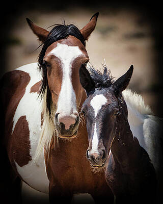 Nature Photograph - Mimmicking Mom by American Landscapes