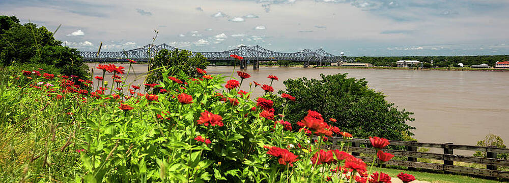 U S Wall Art featuring the digital art Mississippi River, Natchez, Ms by Claudia Uripos