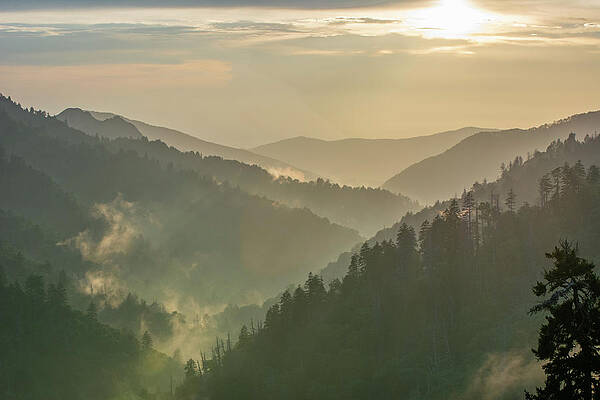 Tennessee Wall Art featuring the photograph Mists On The Great Smokies by Douglas Wielfaert