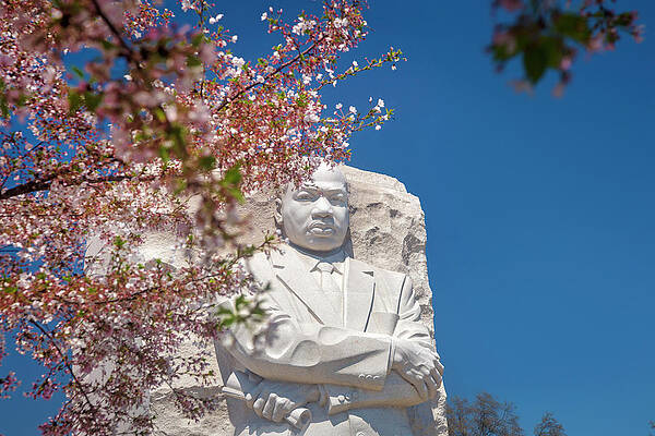 U S Wall Art featuring the digital art Mlk Jr Memorial, Washington Dc by Claudia Uripos
