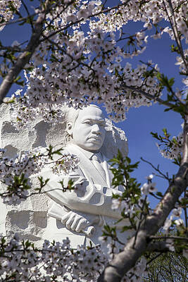 North America Wall Art featuring the digital art Mlk Jr Memorial, Washington Dc by Milton Photography