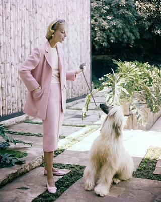 Dog Photograph - Model With An Afghan Hound by Clifford Coffin