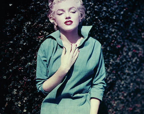 Graceful Pose of Marilyn Monroe Wall Art