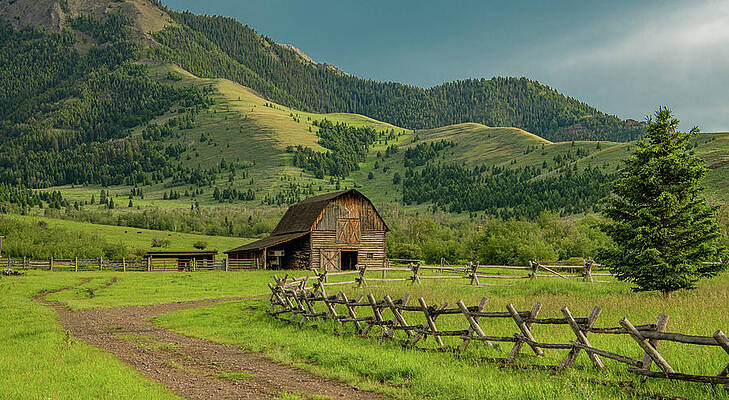 Country Photograph - Montana Country Evening by Marcy Wielfaert
