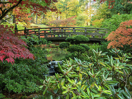 Dramatic Wall Art featuring the photograph Moon Bridge by Jean Noren