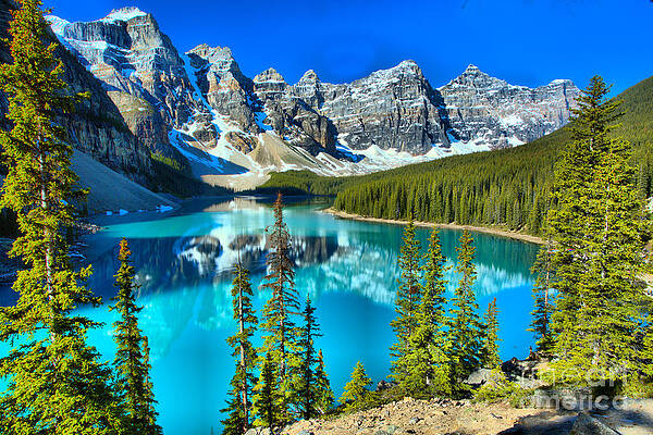 Mountain Wall Art featuring the photograph Moraine Lake Morning Reflections Though The Trees by Adam Jewell