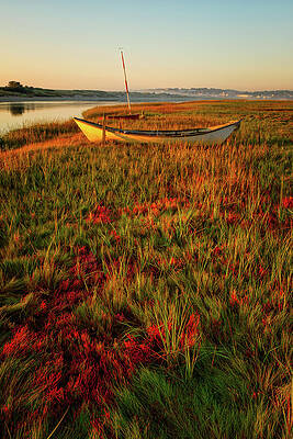 Maine Wall Art featuring the photograph Morning Dory by Jeff Sinon