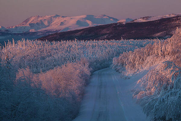 Morning Light Over Snow-covered Landscape At Dalton Highway, Yukon-koyukuk Census Area, Alaska, Usa Print