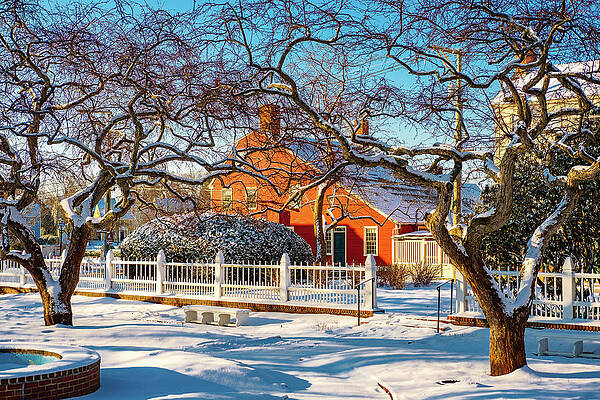 Wall Art featuring the photograph Morning Light, Winter Garden. by Jeff Sinon