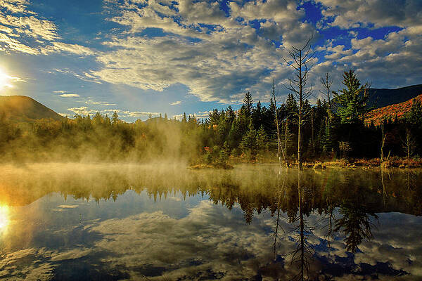 Cloud Wall Art featuring the photograph Morning Mist, Wildlife Pond by Jeff Sinon