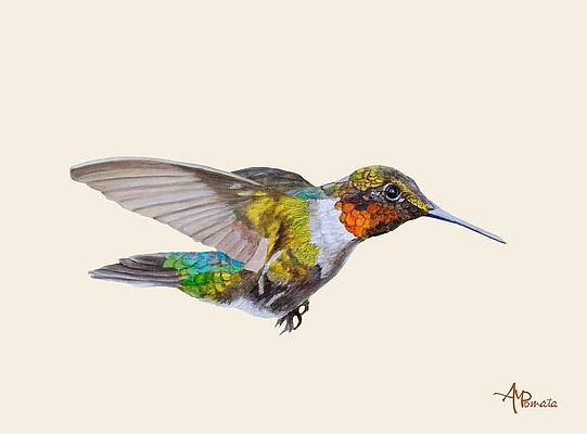 Mixed Media - Motley Flying Hummer I by Angeles M Pomata