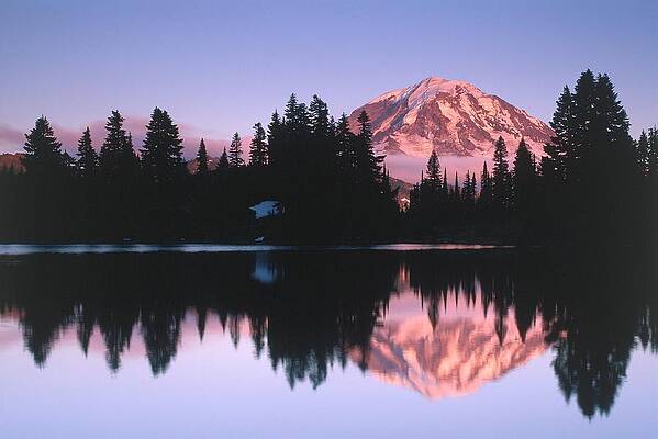 Atmospheric Wall Art featuring the digital art Mount Rainier National Park, Washington by Silko Bednarz