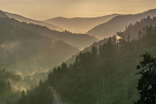 Tennessee Wall Art featuring the photograph Mountain Mists After Storm by Douglas Wielfaert