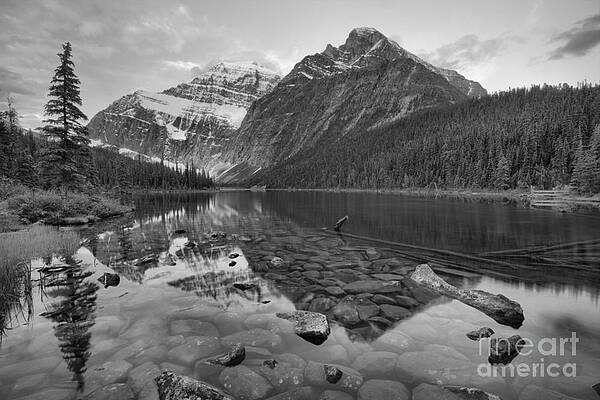 Wilderness Wall Art featuring the photograph Mt Edith Cavell 2019 Sunrise Reflections Black And White by Adam Jewell