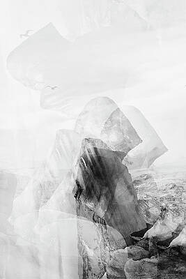 Wall Art featuring the photograph Multibergs by Monamifoto