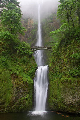 North America Wall Art featuring the digital art Multnomah Falls, Oregon by Andrea Pozzi