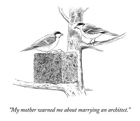 Birds Discuss Architectural Nest Drawing
